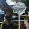 Automatic Watering Bulb Plant Self-Watering Globes Planter Insert Automatic Watering Tool for Indoor Outdoor Plants Home Garden Office