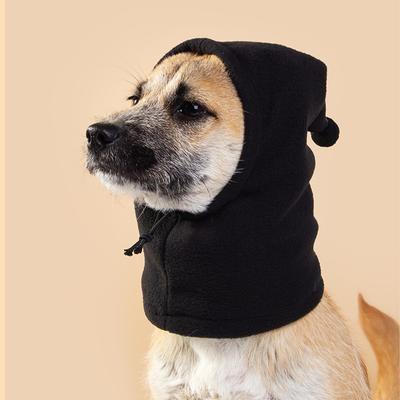 Giyim ve ayakkabı – Köpek için şapkalar