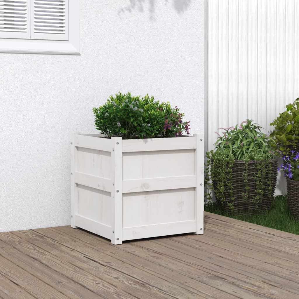 Plant Pot White 50x50x50 Cm Solid Pine Wood