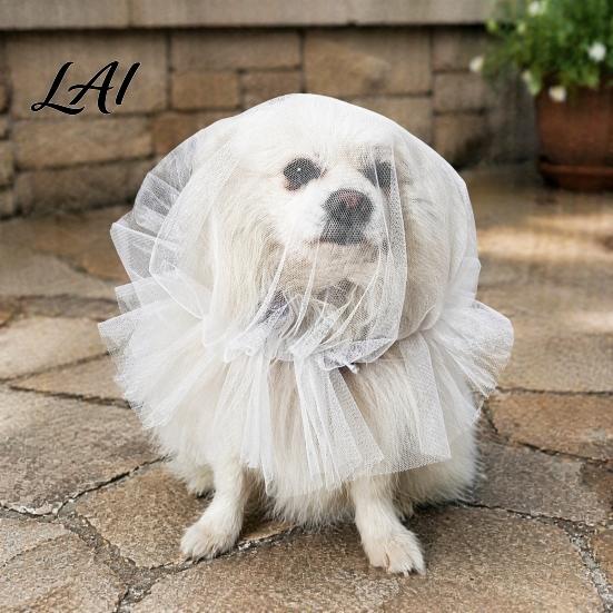 Pet Protection from Grass Dog Face Mesh Net Anti Eating Headgear Breathable Adjustable Lightweight Training Accessories Head Cover for Small Medium