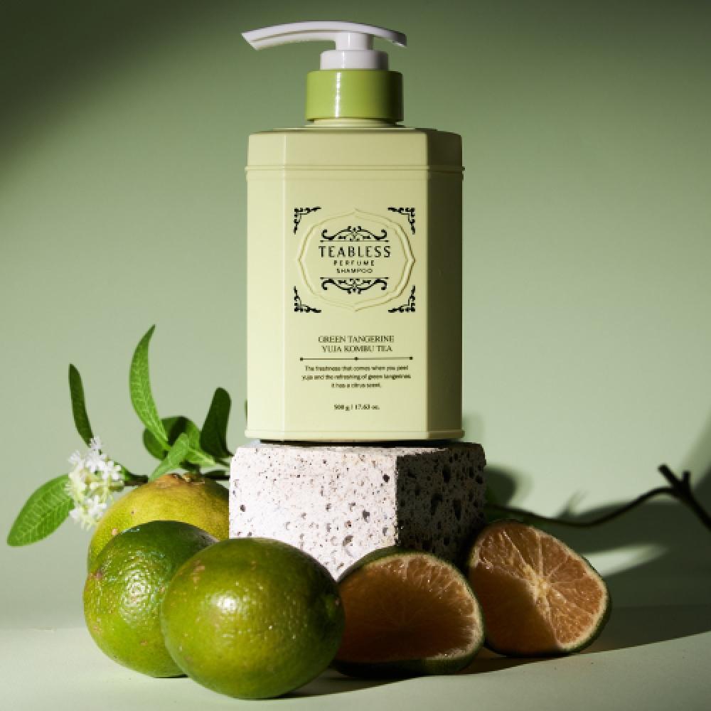 Teabless [Perfume Line] Kombuti Perfume Hair Loss Shampoo Citrus Woody Fragrance 500ml NONE
