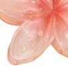 Kvinner Blomsterform Hårklo Anti-skli Design Gradient Farge Hårklemme Dusj Bading Tilbake Hode Haisklips Stylingtilbehør