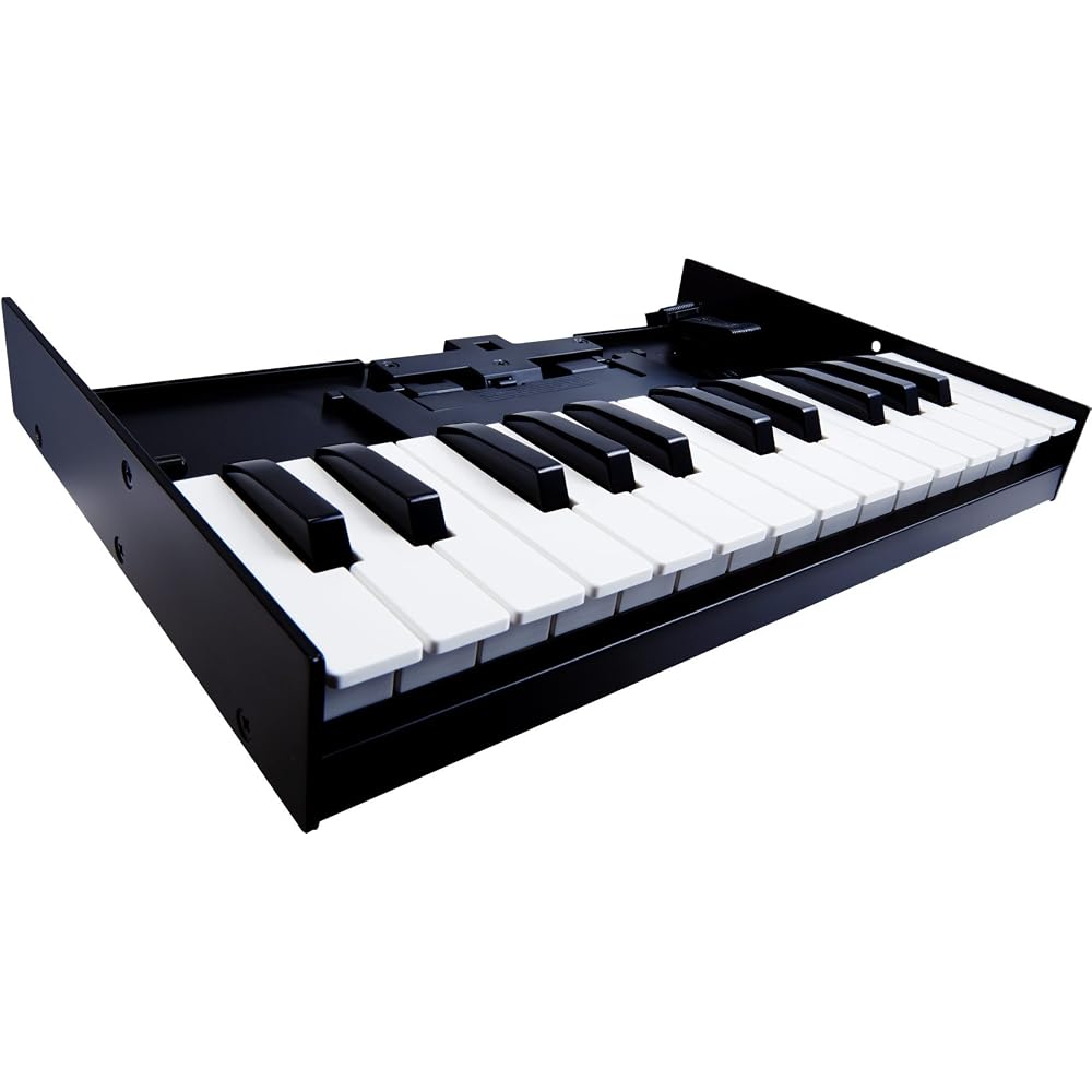 Roland K-25M Keyboard Unit Boutique Series Compact Design Portable Music Accessory
