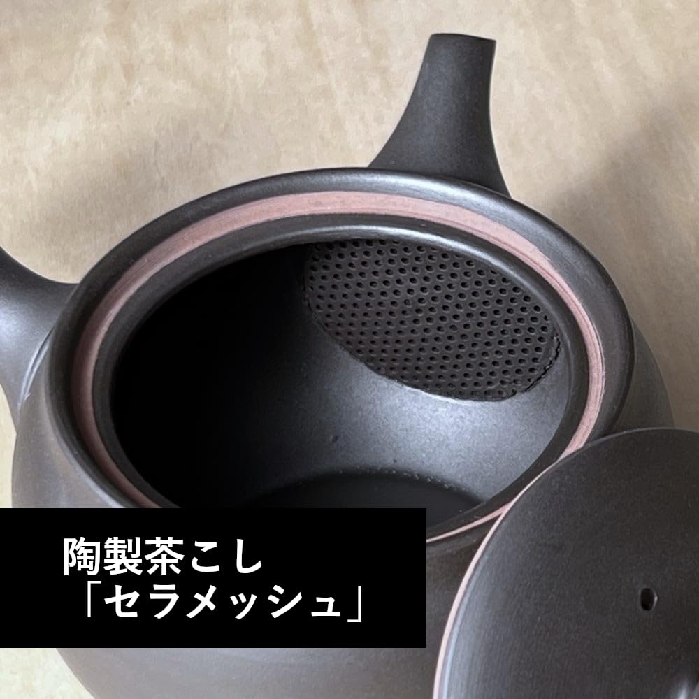 Kyusu 204i with Ceramic Tea Ceramesh Black Made in Japan Tokoname-yaki (Teapot) Strainer, Mud, 400ml,