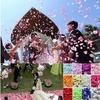 Craft Party Supplies DIY Wedding Decoration Silk Rose Petals Carpet Supplies Artificial Flowers