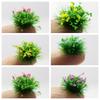 Décoration de la maison – Terrariums décoratifs