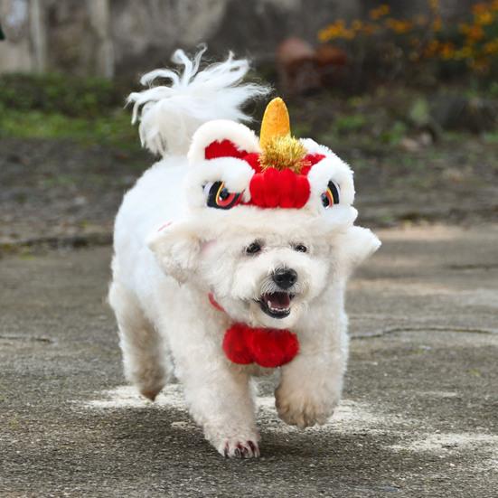 Pet Hat Super Soft Wear Resistant Flannel Medium Dogs Cats New Year