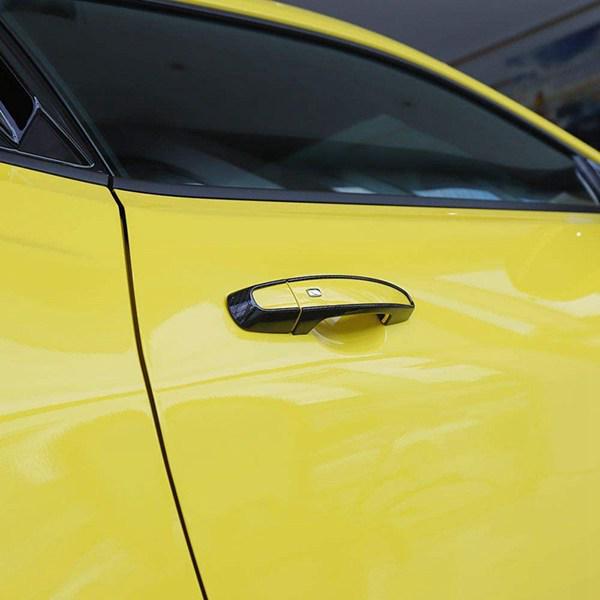 Chevrolet Camaro Door Handle Trim Rings (2017-2020), 1 Pair