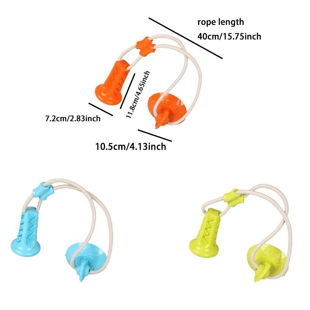 Bite-Resistant Dog Suction Cup Toy Elastic Pet Molar Bite Toy Relieve Boredom