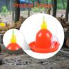 Automatic Poultry Drinker Waterer Chicken Kits Water Drinking Bowl for Quail Goose