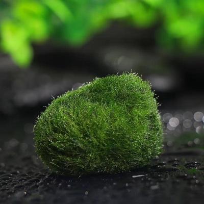 Neue 1 PCS Nachahmung Moos Beflockung Stein Falsche Stein Rasen Micro Landschaft Ornamente Dekorative Zubehör Wohnkultur 2023