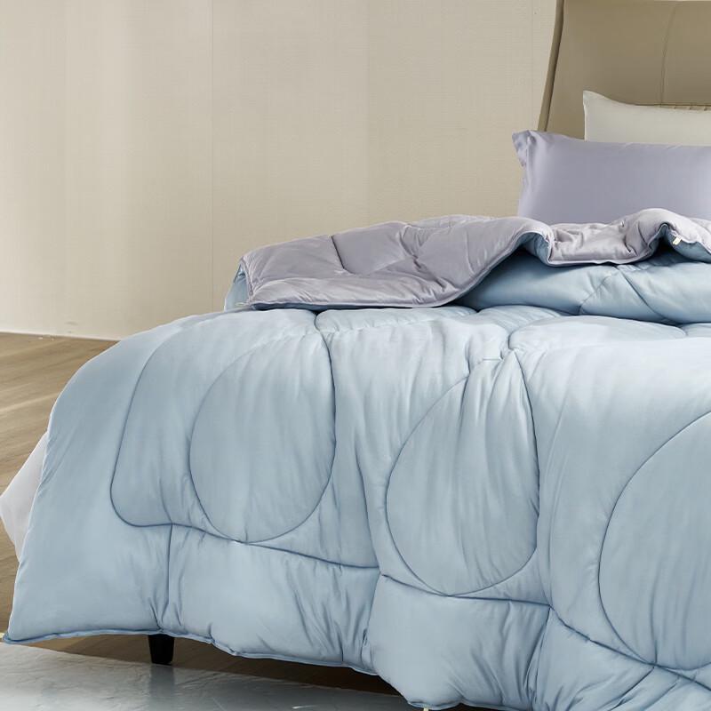 FUANNA All-Season Smart Warmth Quilt