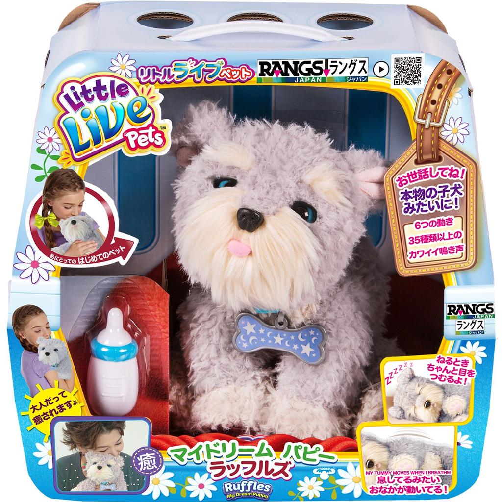 RANGS Japan My Dream Puppy Verlosungen