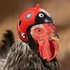 1 st Kip Helm Kip Vogel Speelgoed Hoofdbescherming Helm Vogel Hoed Hoofddeksels