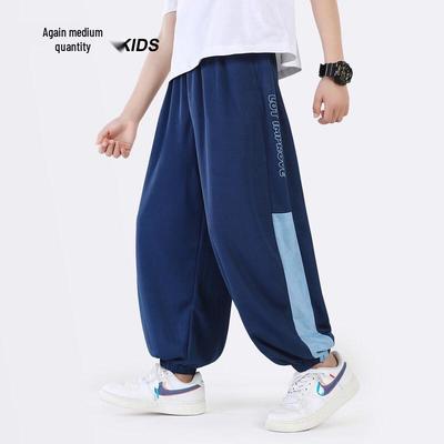 Xuezhongfei Boys' Summer Anti-Mosquito Sports Pants
