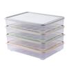 24 Grids Egg Box Refrigerator Preservation Portable Picnic Egg Storage Box Food Grade Plastic Egg Box with Cover Kitchen Supplie