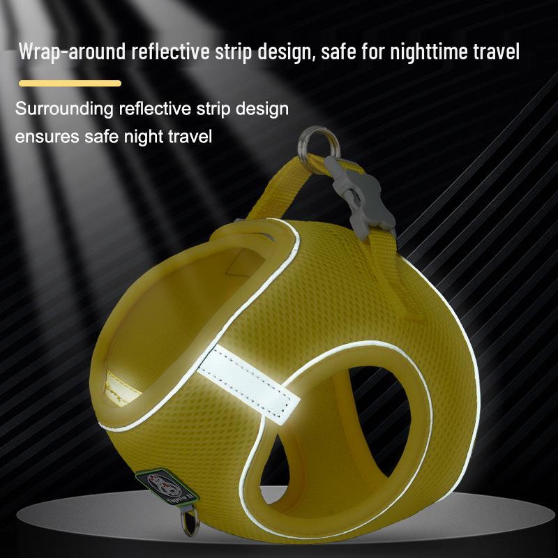 Vest-Style Harness and Leash Set for Small Dogs: Bichon, Teddy, Pomeranian