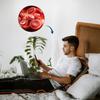 Medivon Cozy Vibra Massage Mat