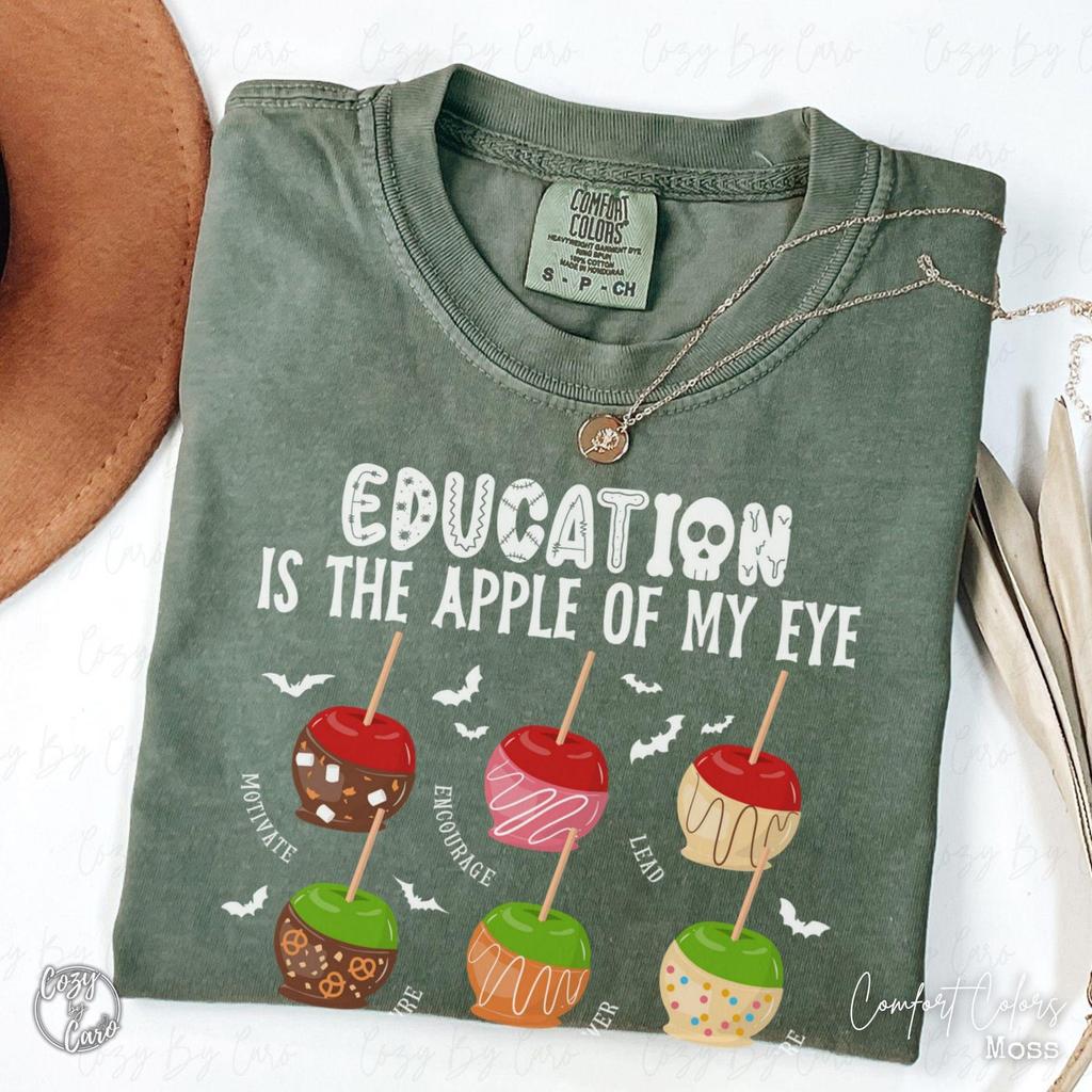 Halloween Education T-Shirt, Teacher Appreciation Tee, Fall ECE Tee, Punny Principal Shirt, Early Childhood Educator, Autumn Teacher Shirt