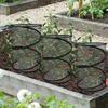 Sturdy Plant Mesh Cover Weatherproof Insect Barrier Popup Plant Guard Cover  Vegetable Garden