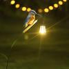 Creative New Solar Bird Lantern, Outdoor Landscape Light, Iron Art Craft for Garden, Patio and Lawn Decoration