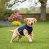 Noise-proof Dog Anxiety Vest Elastic Dog Calming Jacket Pet Soothing Clothes  Noise Protection