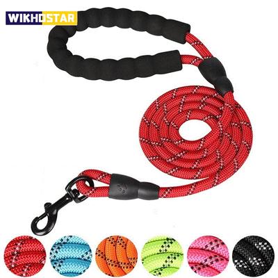 Hundar – Hundhalsband & Koppel