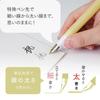 Sailor Fountain Pen Fude DE Mannen Calligraphy Fountain Pen 30th Anniversary Shortcake 40% 10-0343-010