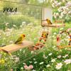 Niet-reflecterende Vogelspiegel 1 Set Kooi Papegaai Speeltjes, Houten Zitstok Platform met Spiegel, Ladder, Kleurrijk Acryl Veiligheid voor Vogels Kralen Belletjes Schommel,