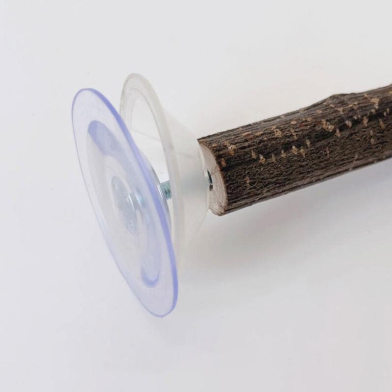 3lots Suction Cup Bird Toy Perches Stand Climbing Playing Parrots Perches Toy for Parakeets and Medium Birds