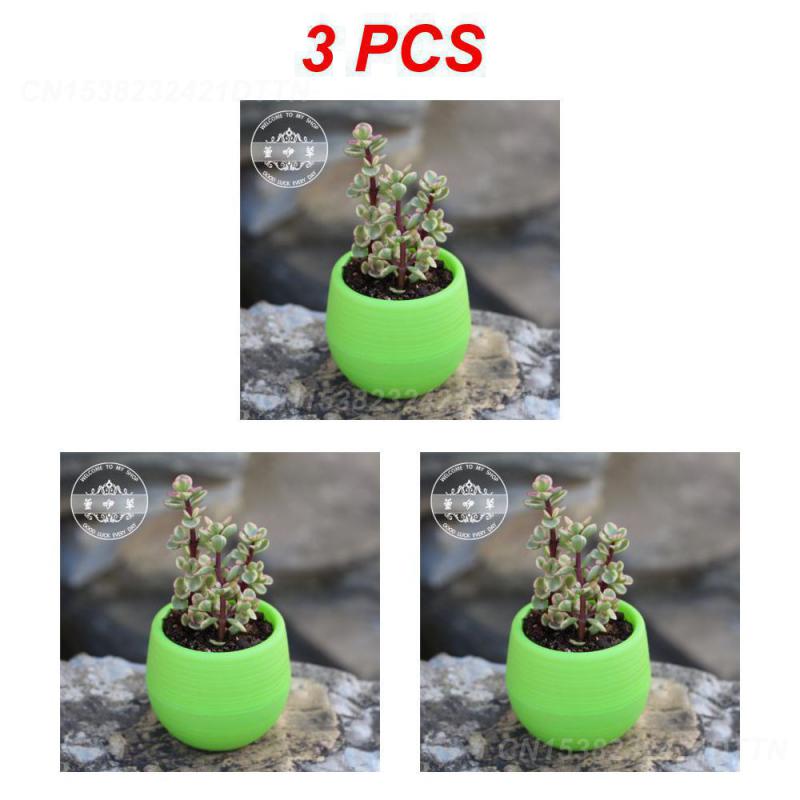 1/2/3PCS Plastic Flowerpot Small Green Plant Flowerpot Plant Desktop Potted Solid Color Mud Holder 2025 Succulent Plant Pot