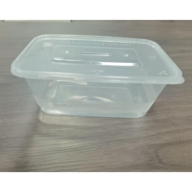 Disposable Rectangular Food Container with Lid