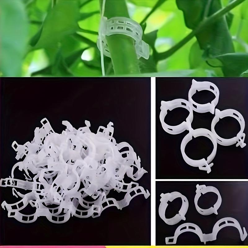 100Pcs Plant Fixing Clip - Plastic Lattice Plant Support Clip for Support, Grape and Tomato Vines, Vegetable Plants