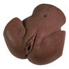 Black Skin Big Ass Realistic Anal Vagina Love Doll Realistic Sex Doll for Men
