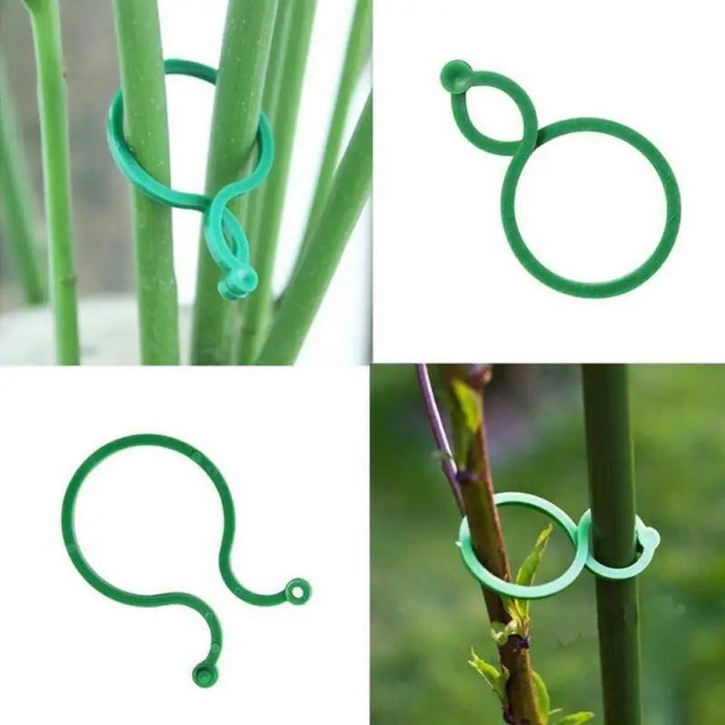 

50/100Pcs Plastic Buckle Vine Tying Clips Ring Fixing Bracket Garden Plant Holder Tools Plant Climbing Wall Clips Vine Support 50pcs зелёный