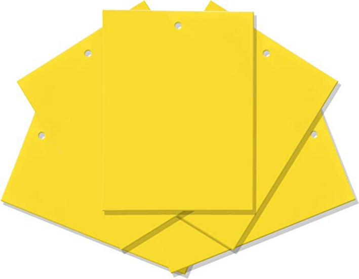 

Двусторонняя желто-синяя липкая ловушка для летающих насекомых - Трипсы, Цветы и Растения Необходимое Thick 15×10 Double-sided Paper жёлтый