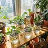 Flower Stem Holder Plant Starter Trays Germination Cover Plant Propagation Trays  Horticultural