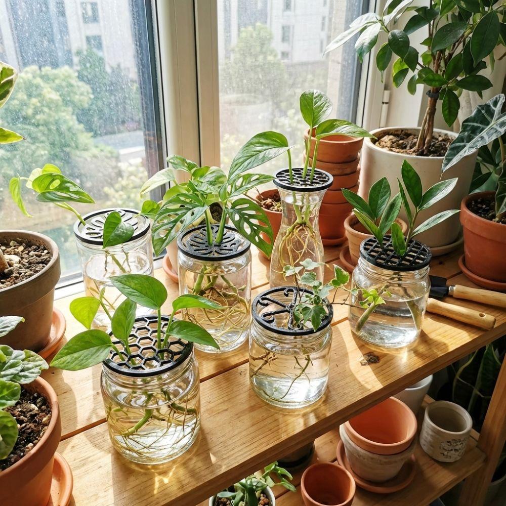 Flower Stem Holder Plant Starter Trays Germination Cover Plant Propagation Trays  Horticultural