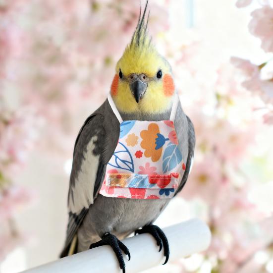 Vogelkleidung Waschbar Wiederverwendbar Blumen Pflanzen Druck Fluganzug Outfits Nymphensittiche Sittiche Tauben Kleine Vögel Verstellbarer Riemen Weste Haustierbedarf