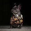 DualPet Hundekleidung für Französische Bulldogge, Hundejacke mit Goldstickerei, Mantel, warme Hundekleidung, Welpen-Outfit aus Baumwolle, Ropa Para Perro