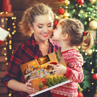 Slavnostní potřeby – Vánoční dekorace