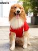 Fall Winter Fleece Golden Retriever Pocket Cat Dog Hoodie for Large Small Dogs Cats Pet Apparel