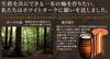 Mitsubishi Pencil Mechanical Pencil Pure Malt Wooden Body Natural 0.5 M51025.70