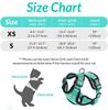Cat Puppy Outdoor Walking Supplies Fashion Pet Harness And Leash Set For Small Dogs Cats Breathable Durable Kitten Harnesses