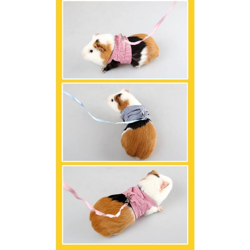Ji Zaizai Guinea Pig Two-legged Clothes Spring and Summer Cotton Mink Hedgehog Small Pet Chest Harness Guinea Pig Out Traction Rope