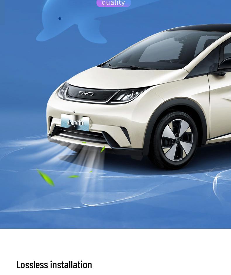 BYD Dolphin Front Grille Insect Protection Net with Buckle