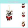 Whimsical Christmas Cat Socks Tree Hangings Brighten Up Your Holiday Decor