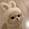 Pet Rabbit Ear Plush Hat Easter-Themed Bunny Ear Headband Funny Headdress for Cats Dogs Pets Photography Supplies Accessories