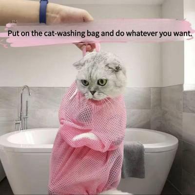 Katzen – Katzenpflege