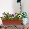 3 Pcs Planter Vase Nursery Flower Pot Balcony Pots Planting Trough Plants Basin Fleshy Long Vegetable Box Garden Decorations